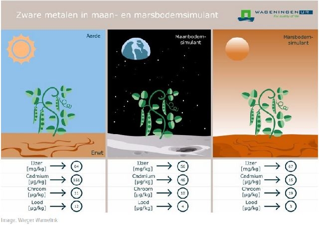 20160625_Martian salad3.jpg